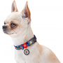 Nylon dog collar with QR code Waudog "Fig" size S