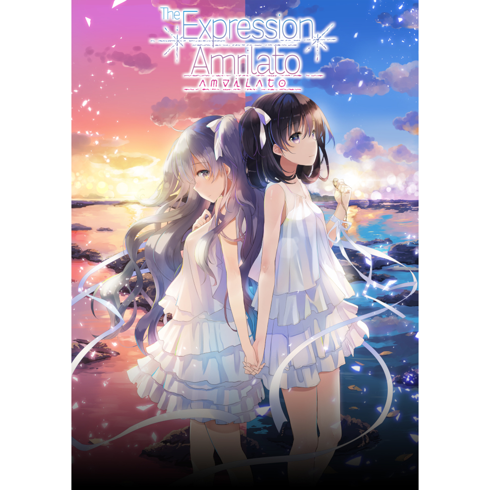 The Expression Amrilato (PC - Steam elektronikus játék licensz)