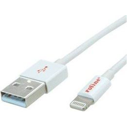 ROLINE 8PIN/USB LADE-/SYNCHROKABEL