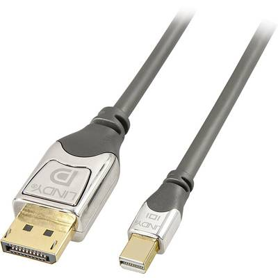 Lindy 36310 DisplayPort kabel 0,5 m Mini DisplayPort Grå