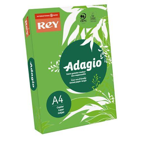 Rey "Adagio" Копирна хартия цветна A4 80g интензивно зелена (ADAGI080X650) (ADAGI080X650)