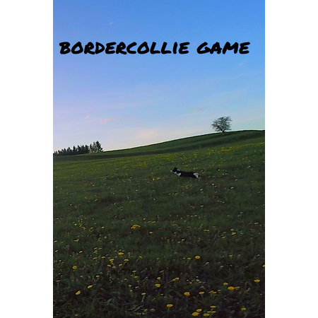 BorderCollie Game