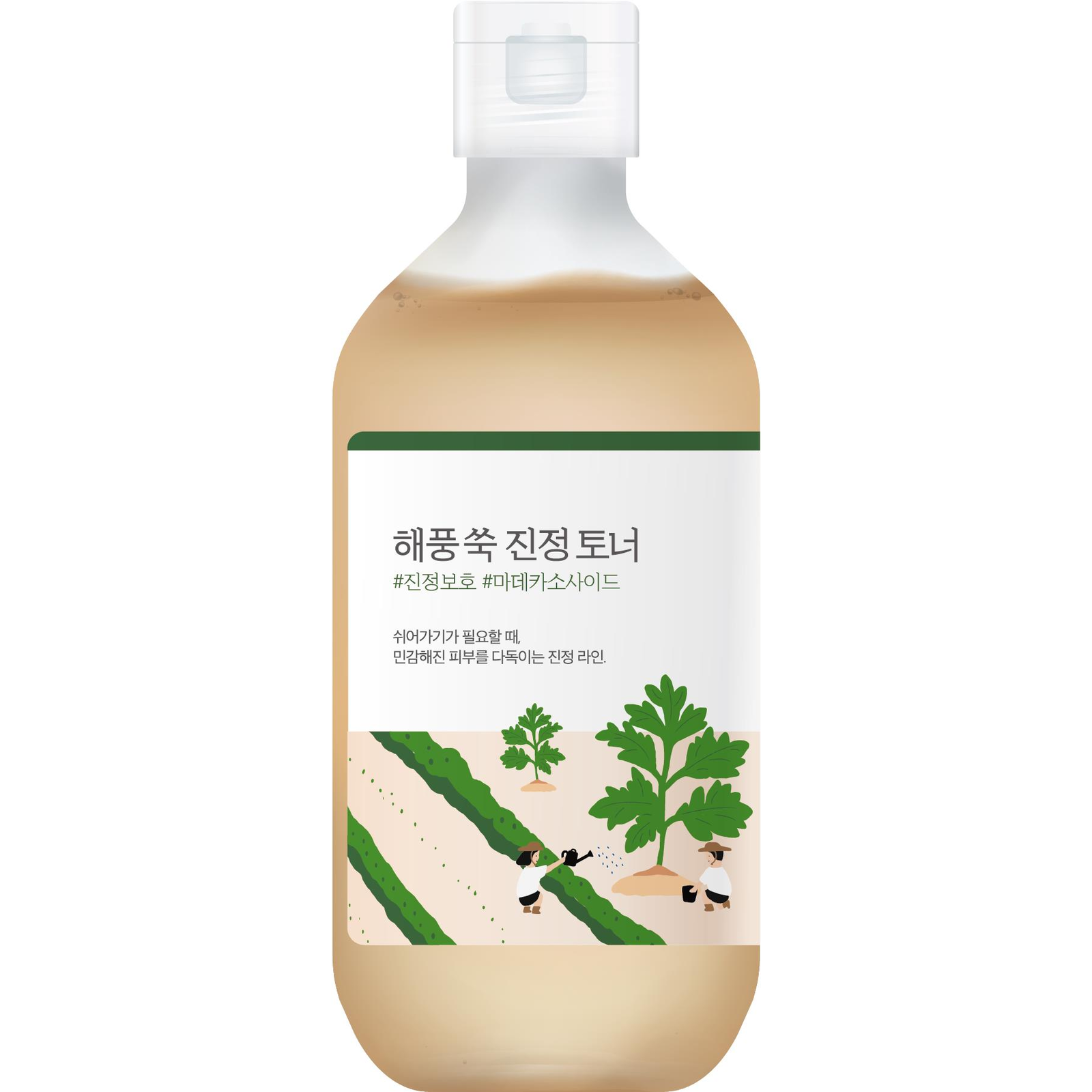 ROUND LAB Mugwort Toner 300 ml (8809738605714)