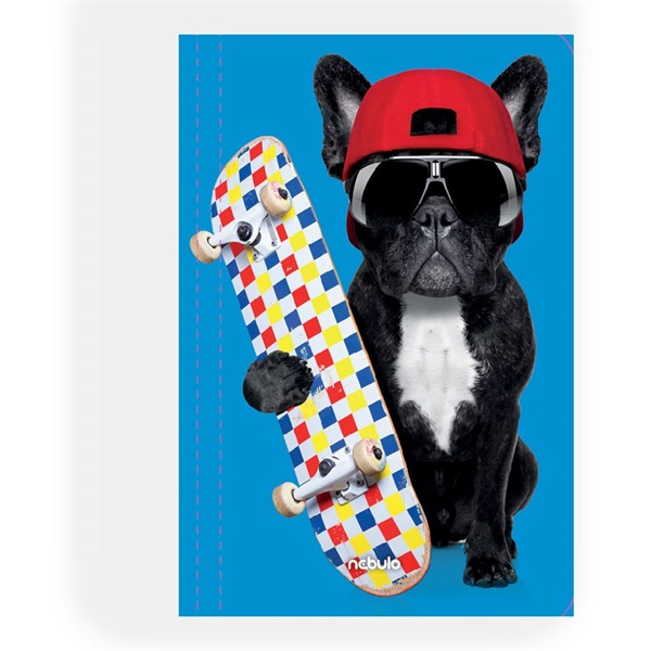 Nebulo Deszkás bulldog A4 gumismappa (GM-DESZKÁS BULLDOG-A)