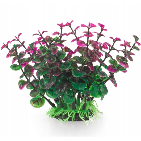 Terra Natura Aqua Natura, roślina do dekoracji akwarium, zielono-fioletowa, plastikowa, 12 cm, peperomia