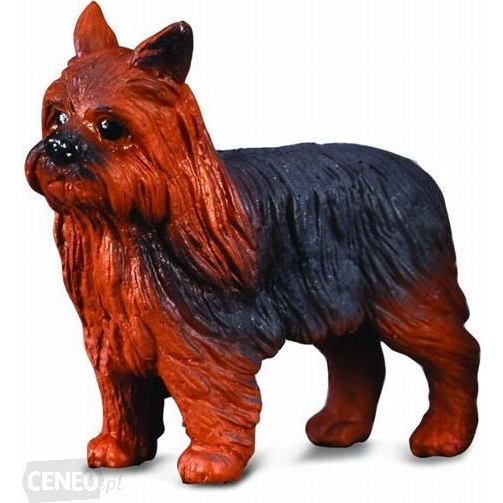 Figurka Collecta Pies Yorkshire Terier