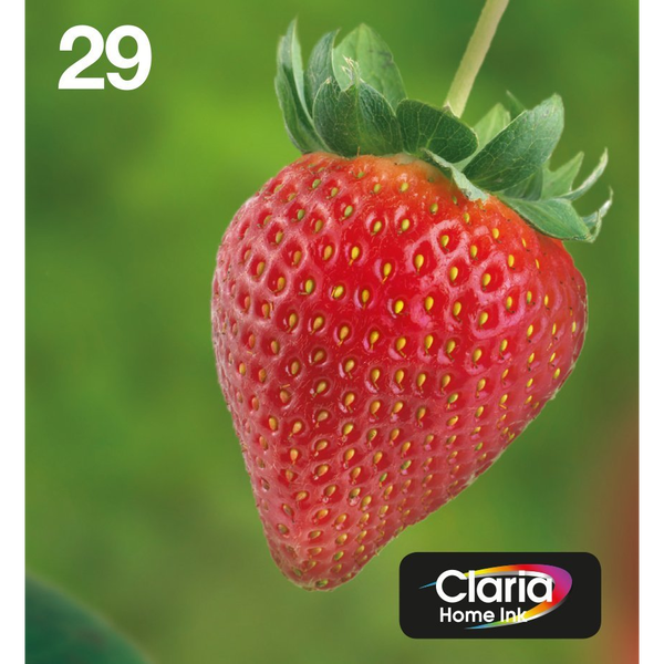 Epson Strawberry C13T29864511 tintapatron 1 db Eredeti Standard teljesítmény Fekete, Cián, Magenta, Sárga