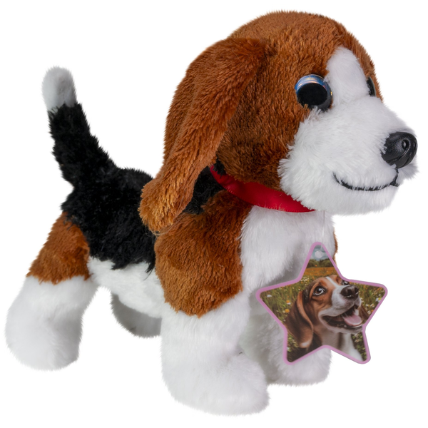 Lumo Stars Beagle Cooper
