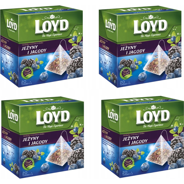 Loyd Tea Szeder-Áfonya 20x2g