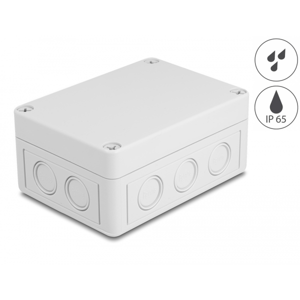 Delock Installationsgehäuse mit Kabeleinführungen 130 x 93 x 57 mm grau