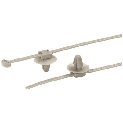 HellermannTyton 156-01091 PT2AP2SFT6.5-PEEK-BGE Kábelkötöző 145 mm 3.4 mm Bézs 1 db (156-01091)
