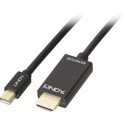 Lindy 36927 videokabel adapter DisplayPort HDMI Type A (Standard) Sort