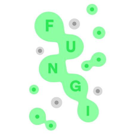 FUNGI (PC - Steam elektronikus játék licensz)