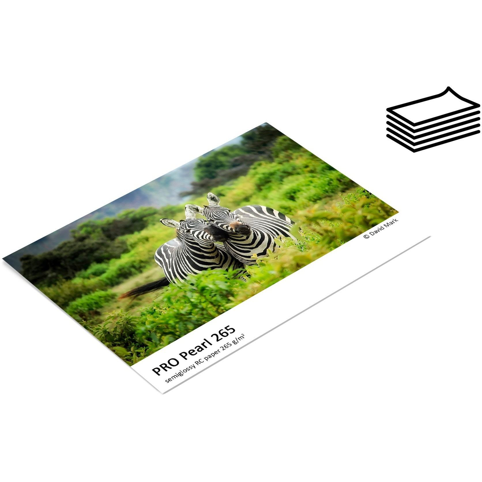 FOMEI PRO Pearl 265 A4/50 (EY5253)