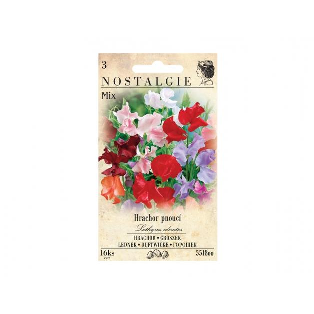 MORAVOSEED Borsó szúrós (5518oo)