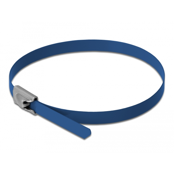 DELOCK Edelstahlkabelbinder L 300 x B 4,6 mm blau 10 Stück