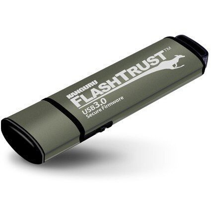 iStorage Kanguru FlashTrust USB 3.0 128GB USB-nøgle USB Type-A 3.2 Gen 1 (3.1 Gen 1) Grå