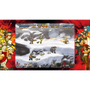 METAL SLUG XX
