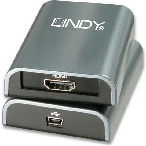 Lindy 42698 Adaptador gráfico USB Negro
