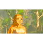 Nintendo The Legend of Zelda: Breath of the Wild, Switch Štandardný Nintendo Switch