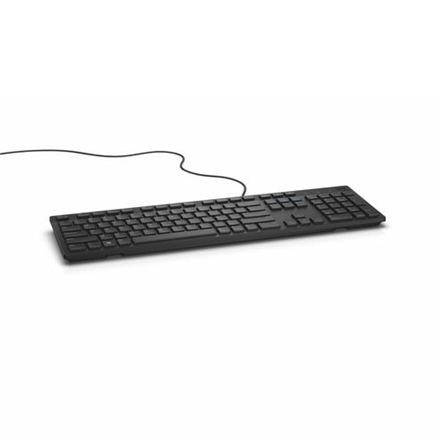 DELL KB216 πληκτρολόγιο Παγκόσμιος USB QWERTY Εσθονική Μαύρος (Μαύρο)