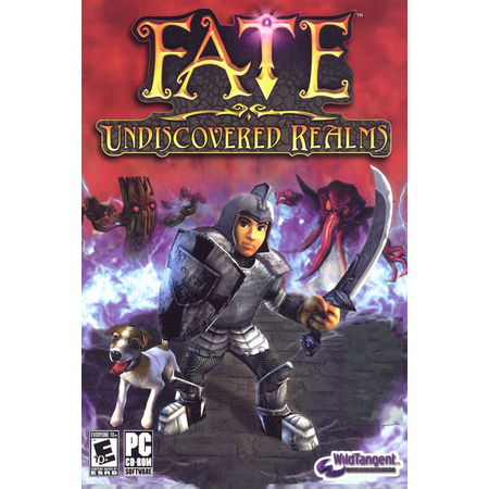 FATE: Undiscovered Realms (PC - Steam elektronikus játék licensz)