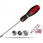 Hillen & Mohr Torx Csavarhúzó T25x100 mm Mágneses