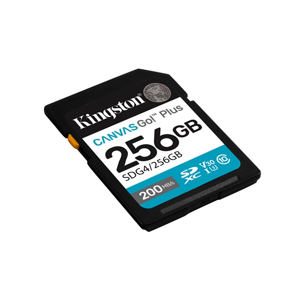 Kingston Technology Canvas Go! Plus Klasse 10