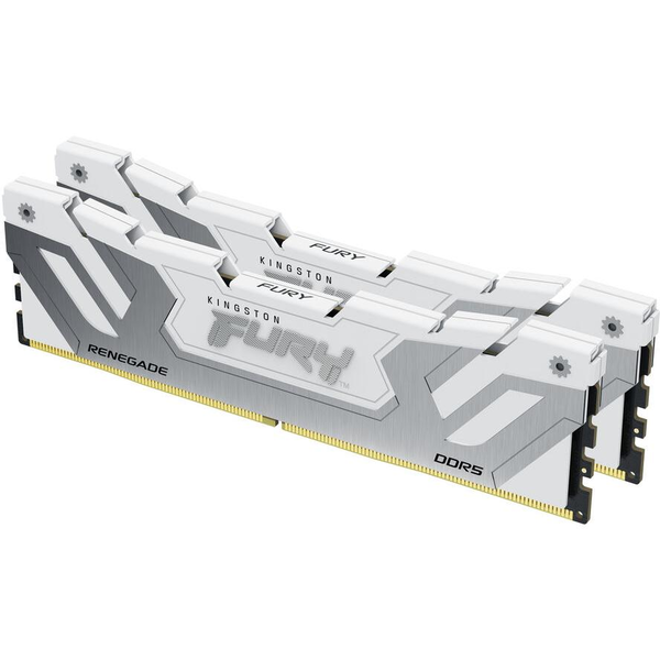 Kingston Technology FURY Renegade hukommelsesmodul 2 x 24 GB