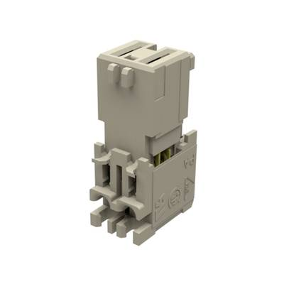 Molex Hüvelyház kábel Pólusok száma 2 917780030 1 db (917780030)