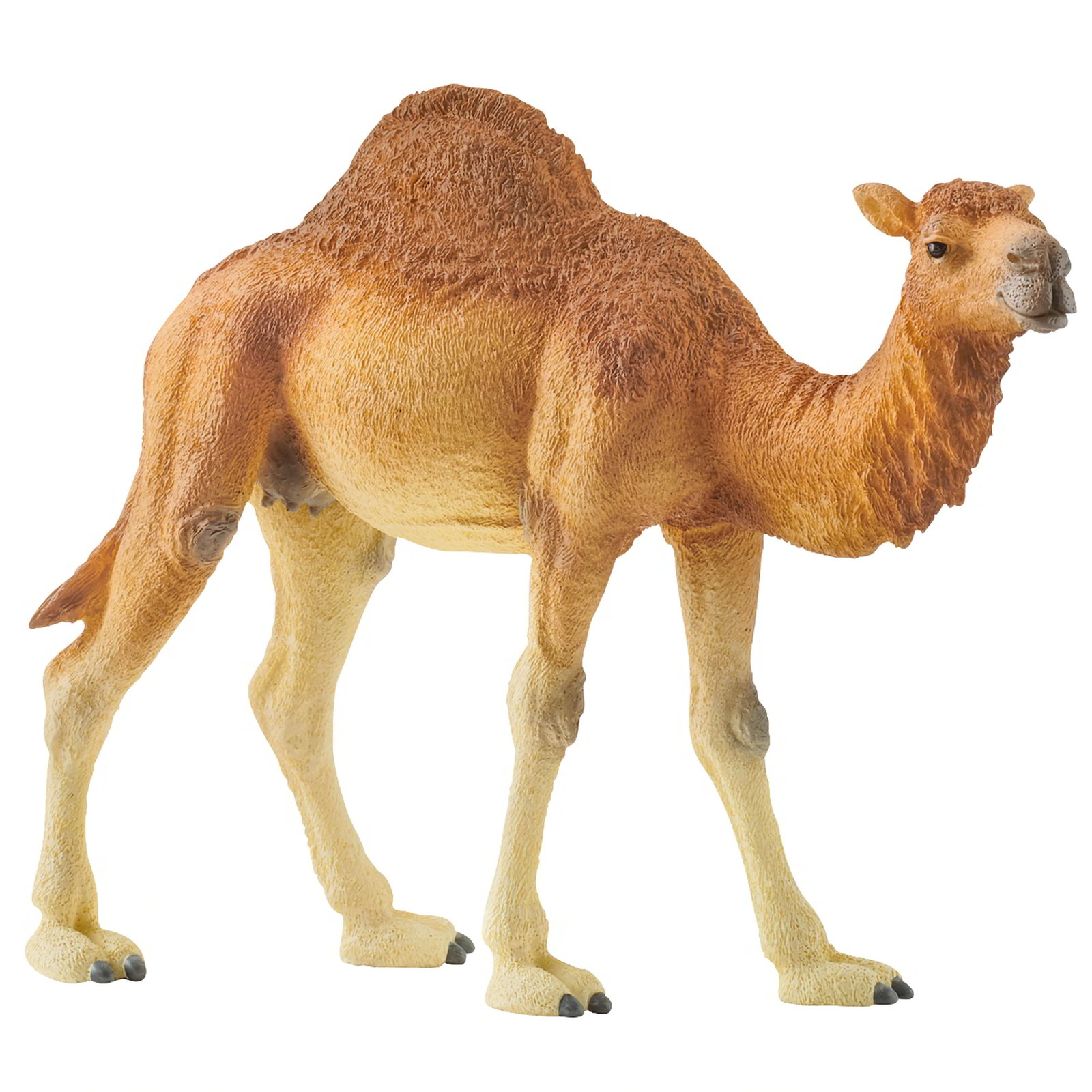 schleich WILD LIFE 14832 gyermek játékfigura (14832)