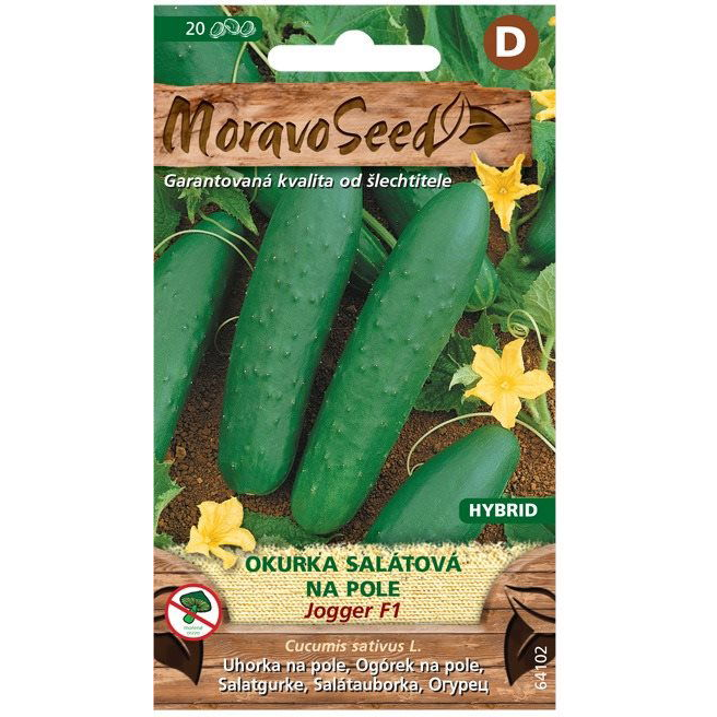Saláta uborka JOGGER F1 - hibrid, kertbe (2123mm)