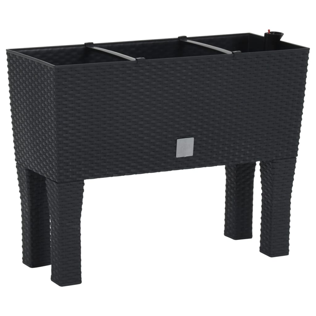antracitszürke polipropilén rattan kerti magaságyás 60x25x46 cm (152208)