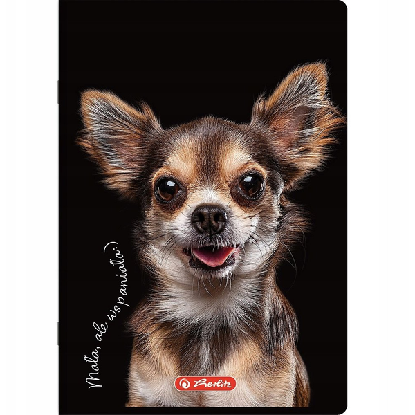 -ZESZYT A5/16K KRAT KOL ANIMALS HER