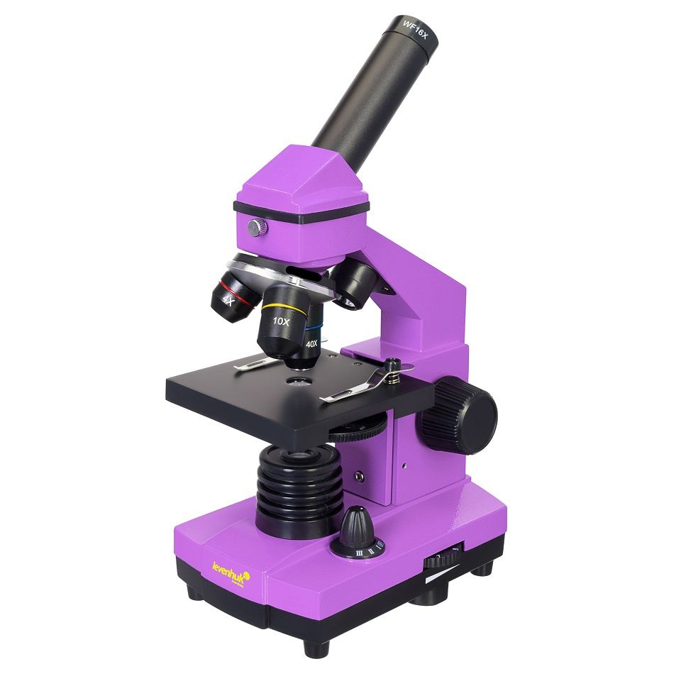 Levenhuk 64-640X oktató mikroszkóp készlet könyvvel Rainbow 2L PLUS Ametiszt (70230) (70230)