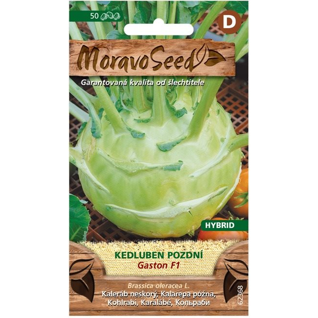 Karalábé késői GASTON F1 - hibrid, fehér (1258mm)