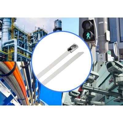 TRU COMPONENTS TC-12647560 Acél kábelkötegelők 290 mm 4.6 mm AISI 304 100 db (TC-12647560)