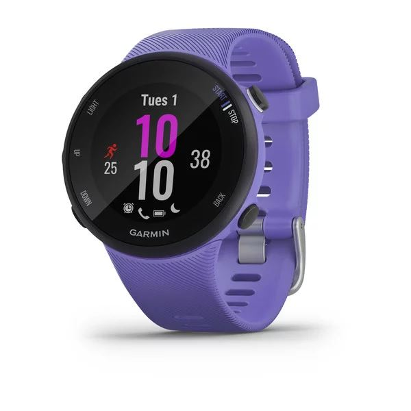 Smartwatch Garmin Forerunner 45S, Iris