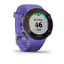 Smartwatch Garmin Forerunner 45S, Iris