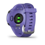 Smartwatch Garmin Forerunner 45S, Iris