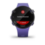 Smartwatch Garmin Forerunner 45S, Iris