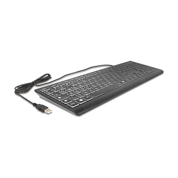 DeLock USB Keyboard wired 1.5m with XXL Letters and Illumination Black HU