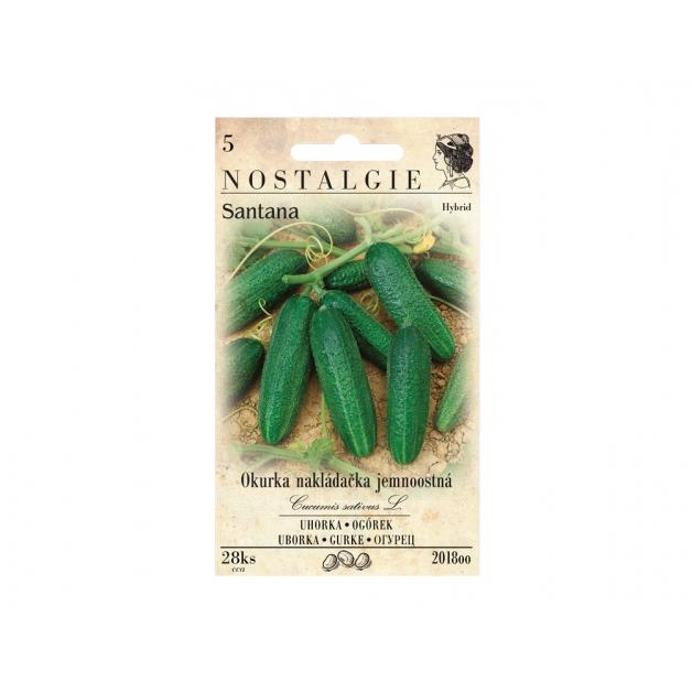 MORAVOSEED Uborka kovászolni való SANTANA F1 (2018oo)