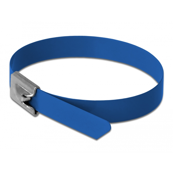 DELOCK Edelstahlkabelbinder L 300 x B 7,9 mm blau 10 Stück