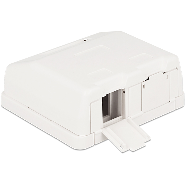 DELOCK Keystone Leergehäuse 2-Port mit Staubschutz
