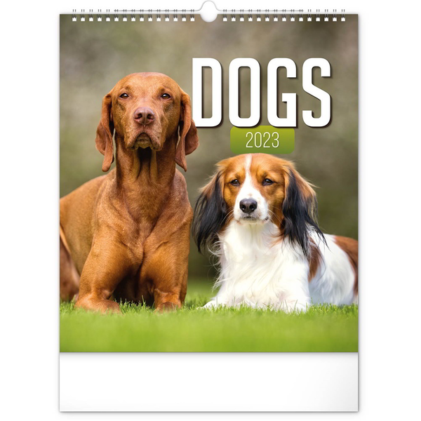 Realsystem 300 x 340mm 2023 Falinaptár - Dogs