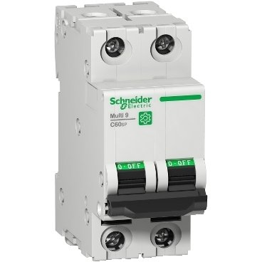 Schneider Electric C60SP Stromunterbrecher 2P