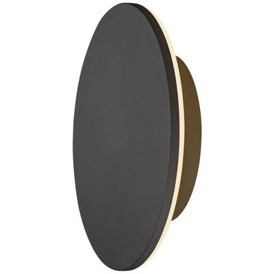 SLV D-RING M (1007913) Kültéri fali lámpa 15 W LED Fekete (1007913)