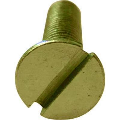 Süllyesztett fejű, egyenes hornyú csavarok, DIN963 4.8 M2x6 , 100 részes 521863