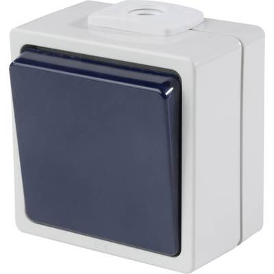 as - Schwabe 62450 Falra szerelhető kapcsoló IP54 Szürke